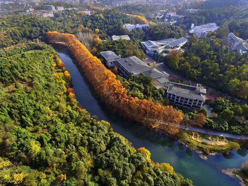 自動雷達水位雨量監(jiān)測系統(tǒng)監(jiān)測江河流量