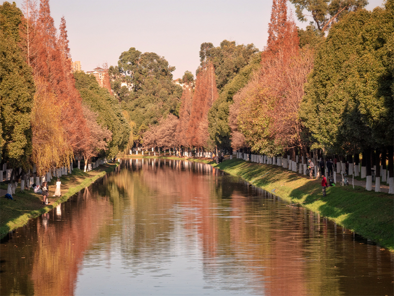 水質(zhì)檢測(cè)儀