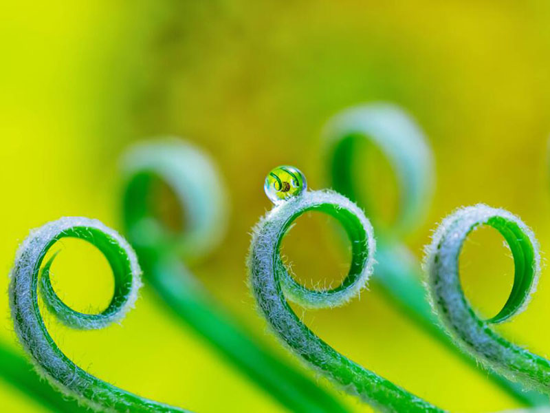 余氯、總氯、有效氯有什么區(qū)別