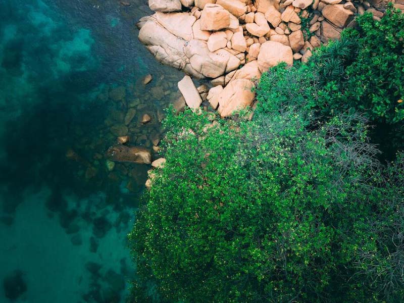 便攜式總磷檢測儀怎么使用(便攜式總磷檢測儀技術(shù)參數(shù))