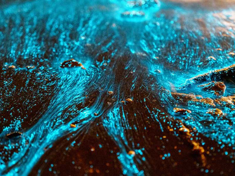 全自動紫外測油儀檢測樣品數(shù)量