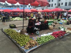 食品安全檢測儀能檢測什么食品？