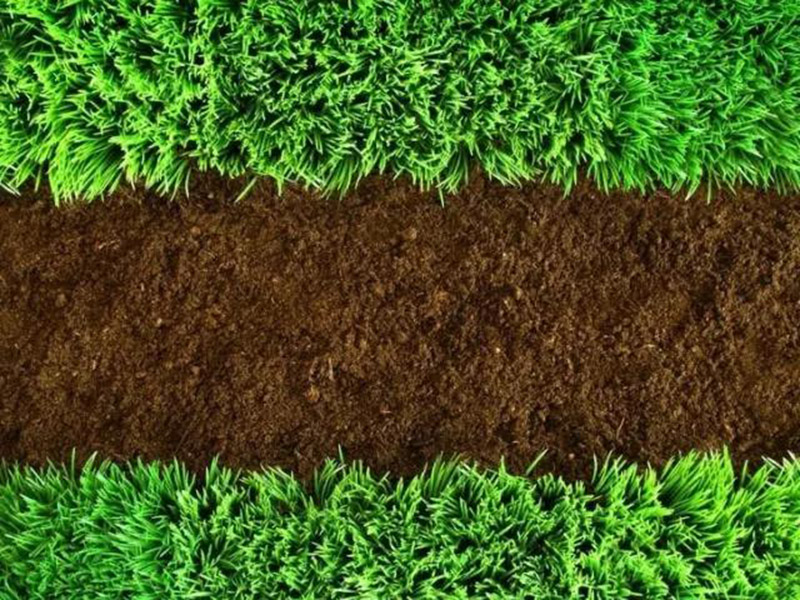 土壤水分測定儀 13.jpg