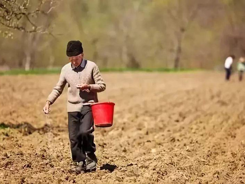 土壤養(yǎng)分檢測儀好不好用 9.jpg