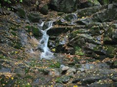 霍爾德余氯分析儀，可用于水源保護(hù)工作